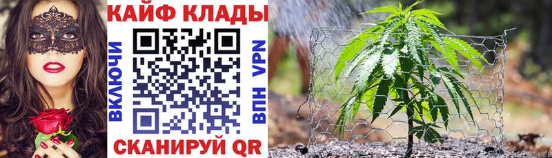 Купить закладку Гашиш  A-PVP  Меф  Бошки Шишки  Новая Ляля