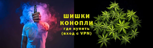 PSILOCYBIN Карталы