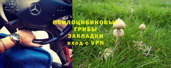 первитин Карпинск