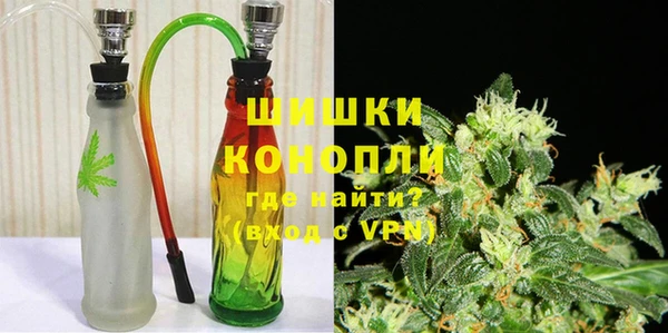 PSILOCYBIN Карталы