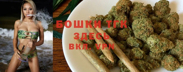 PSILOCYBIN Карталы