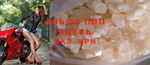 PSILOCYBIN Карталы