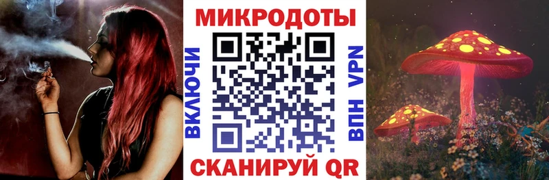 Купить закладки Новая Ляля Псилоцибиновые грибы Cubensis